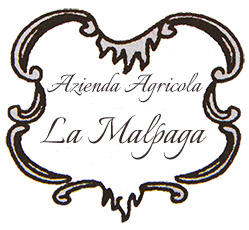 SOC. AGR. LA MALPAGA S.S.